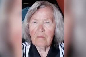 У владимирских водителей попросили помощи в поиске 87-летней бабушки