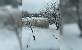 Юг Владимирской области засыпало снегом