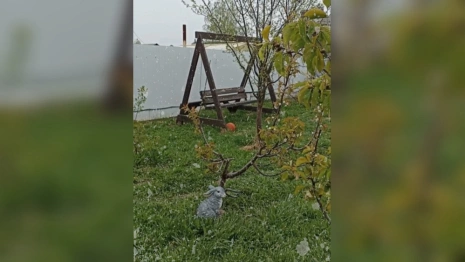 Во Владимирской области пошел снег