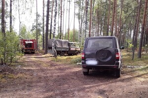Во Владимирской области вспыхнул очередной лесной пожар
