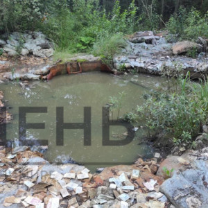 Житель Юрьев-Польского нашел в лесу клад советских денег