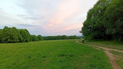 Во Владимире запустили опрос по благоустройству лугопарка «Дружба»  