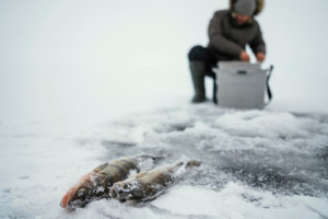 Народные приметы на 10 марта: что можно и нельзя делать в день Порфирия Позднего