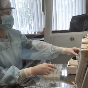 Во Владимирской области с людей сняли 3 зараженных болезнью Лайма клещей