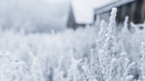 Прогноз погоды во Владимирской области на 20 декабря