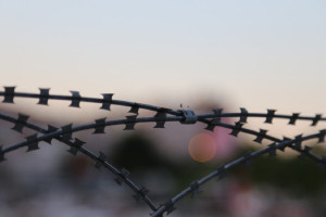 В Гусь-Хрустальном напавшего на полицейскую жителя осудили на 1 год 