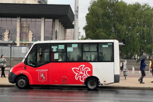 Во Владимирской области частным перевозчикам выделят 20 млн на новые автобусы