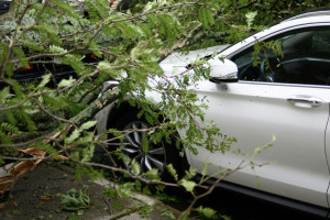 Под Киржачом иномарка влетела в дерево: водитель и пассажир погибли