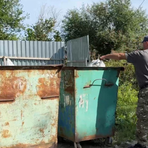 Владимирских дачников обязали заключить договор на вывоз мусора с региональным оператором