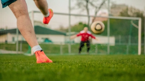 Чиновники рассказали, какие спортивные объекты построят во Владимирской области 
