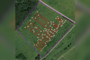 Во Владимирской области появится посвященный 80-летию Победы геоглиф