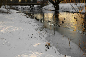 Прогноз погоды на 19 марта 2024 года во Владимире и области