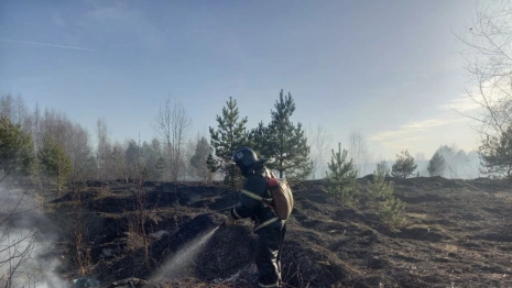 Во Владимирской области 7 мая отменили особый противопожарный режим