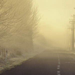 Во Владимирской области спрогнозировали густой туман 21-22 ноября