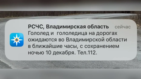 МЧС предупредило жителей Владимирской области о гололеде 9 декабря