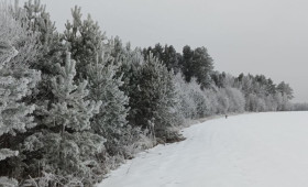 Волонтеры прекратили поиски 61-летней жительницы Мурома в красной куртке
