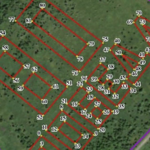 В Кольчугинском районе началась высадка огромного геоглифа