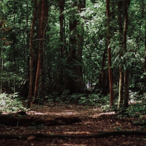 Пропавшего во Владимире мужчину с серыми глазами нашли живым
