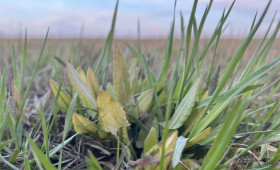 Прогноз погоды во Владимирской области на 31 марта 2026 года