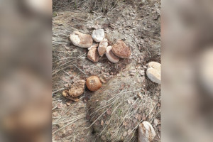 Под Вязниками обнаружили кладбище хлеба