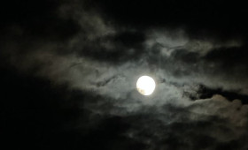 Владимирцам запретили приближаться к обломкам БПЛА после угрозы атаки 18 января