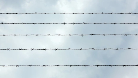 Во Владимире пьяного водителя на 2,5 года отправили в колонию-поселение