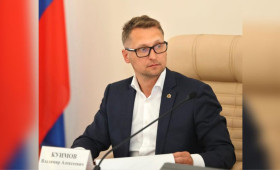 Владимирский замгубернатора рекомендовал сократить врачей старше 56 лет