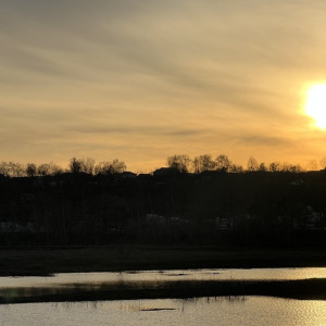 У озера в деревне под Александровом нашли труп мужчины