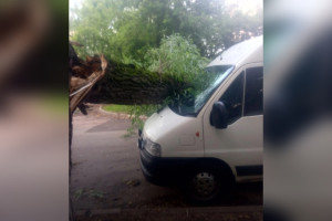 Во Владимире прошедший ураган с дождем повалил деревья и затопил улицы