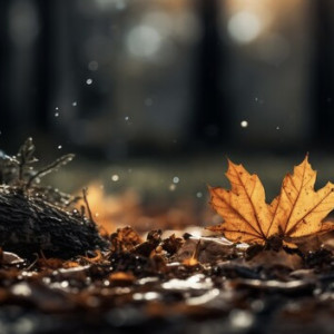 Кондратьев день: что можно и нельзя делать 4 октября 