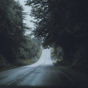 Во Владимирской области прекратили поиски 45-летнего мужчины с татуировкой на плече