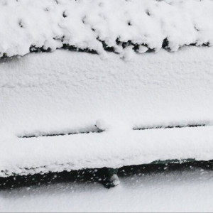 Во Владимирскую область может прийти бушующий в Москве циклон Ольга