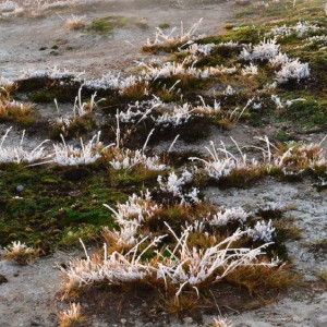 Во Владимирской области на рабочей неделе потеплеет до +10