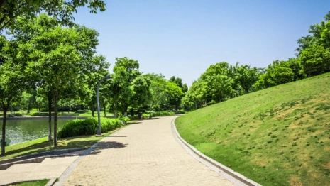 Во Владимирской области 28 городов и поселений собрали 12 млн рублей на благоустройство