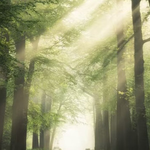 Пропавшего в сентябре 46-летнего жителя Владимирской области нашли живым