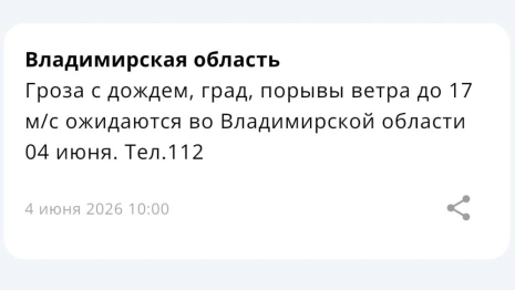 МЧС предупредило владимирцев о грозе и граде 4 июня