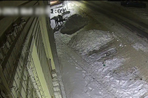 Во Владимире нашли уничтоживших памятник женщине-сыщику вандалов