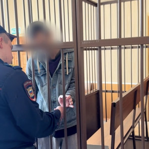 Во Владимирской области будут судить 8 членов ОПГ привезшей в Россию 2,8 тыс. мигрантов