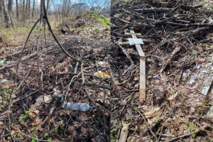 В селе под Собинкой у кладбища выросла свалка