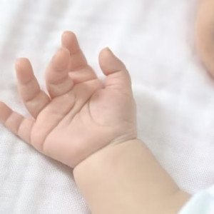 Во Владимирской области благодаря ЭКО родились 155 детей