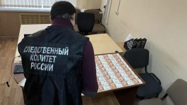 Жительница Гусь-Хрустального пыталась вытащить возлюбленного из СИЗО с помощью взятки