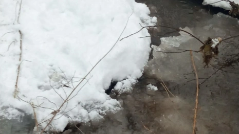 Прогноз погоды во Владимирской области на 3 марта 2026 года