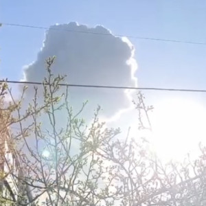 В лесах вокруг воинской части в Киржачском районе запретили пребывание людей после взрывов