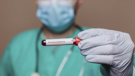 Во Владимирской области за сутки COVID-19 подтвердили у 20 пациентов