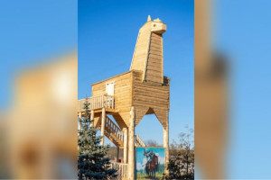 Самый большой арт-объект «Конь» из Владимирской области может попасть в Книгу рекордов