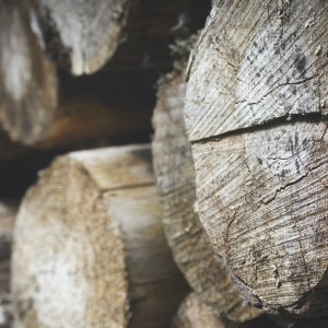 Во Владимирской области сторожа оставили без оплачиваемых отпусков и больничных