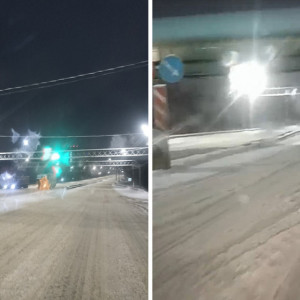 Пекинка во Владимире превратилась в один большой сугроб