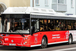 «Владимирпассажиртранс» оставит 19 автобусов у себя