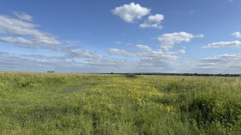 В середине апреля во Владимирскую область нагрянет 20-градусная жара