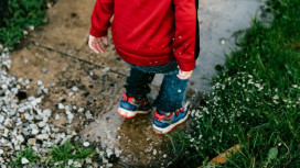 Выходные во Владимире будут холодными и дождливыми